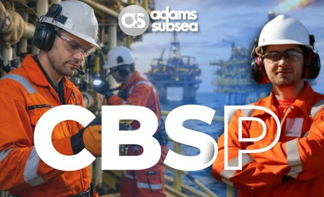 Curso Básico de Segurança em Plataformas